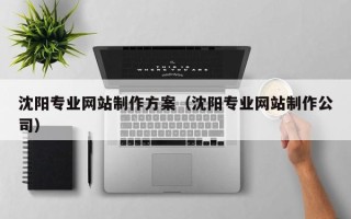 梅州沈阳专业网站制作方案（沈阳专业网站制作公司）